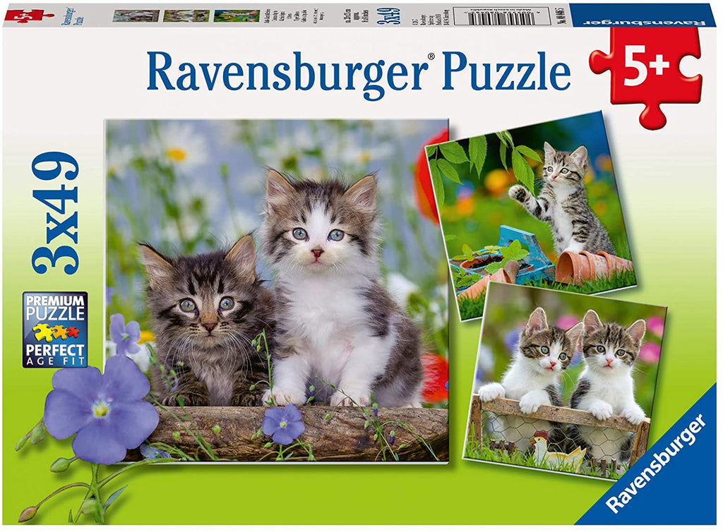 Cuddly Kittens_3 x 49 pc Puzzle