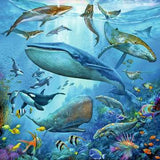 Ocean Life 3 x 49 pc Puzzle