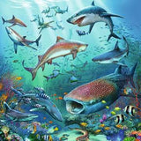 Ocean Life 3 x 49 pc Puzzle