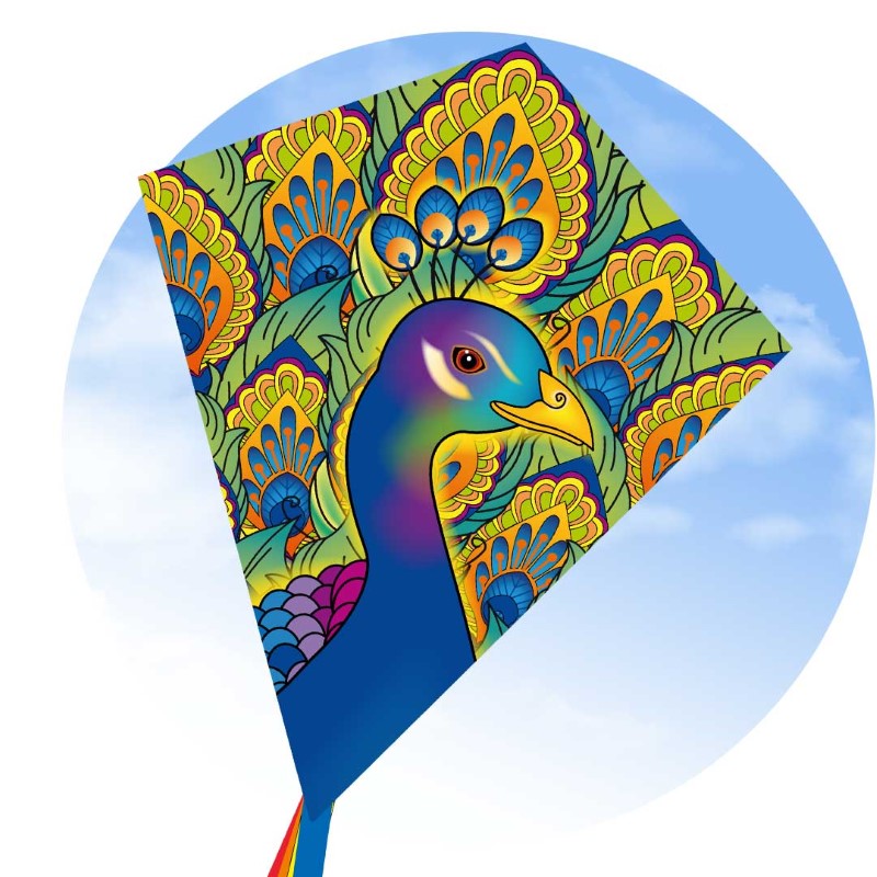Peacock 70cm / 28"