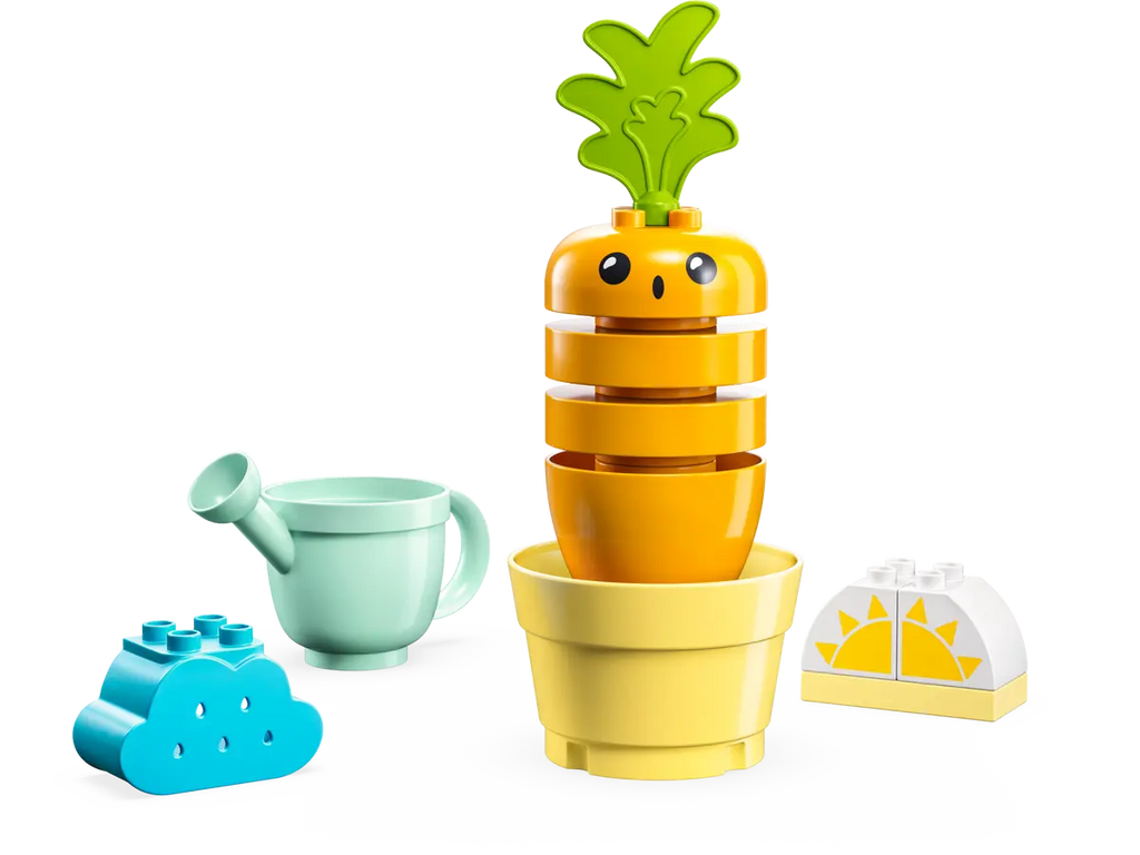 Growing Carrot