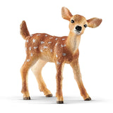 Fawn White-Tailed