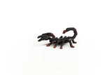 Emperor Scorpion