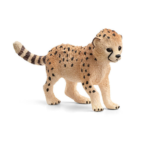 Cheetach Cub
