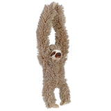 Hanging Three Toed Sloth