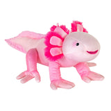 Axolotl CK-Eco