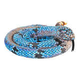Snake-Living Blue Rock Rattlesnake