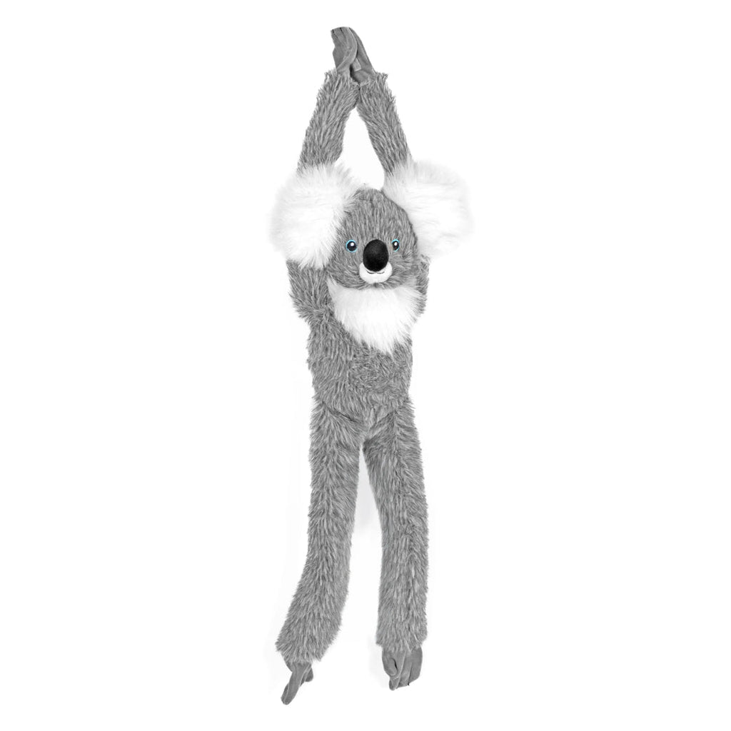 Hanging-Eco Koala