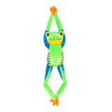 Hanging-Eco Red-Eyed Tree Frog