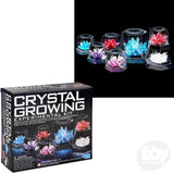 T8.5 Crystal Growing Experimental Kit/Us