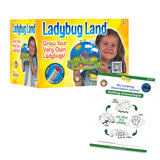 Lady Bug Land