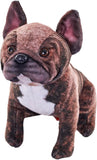 French Bulldog Rescue