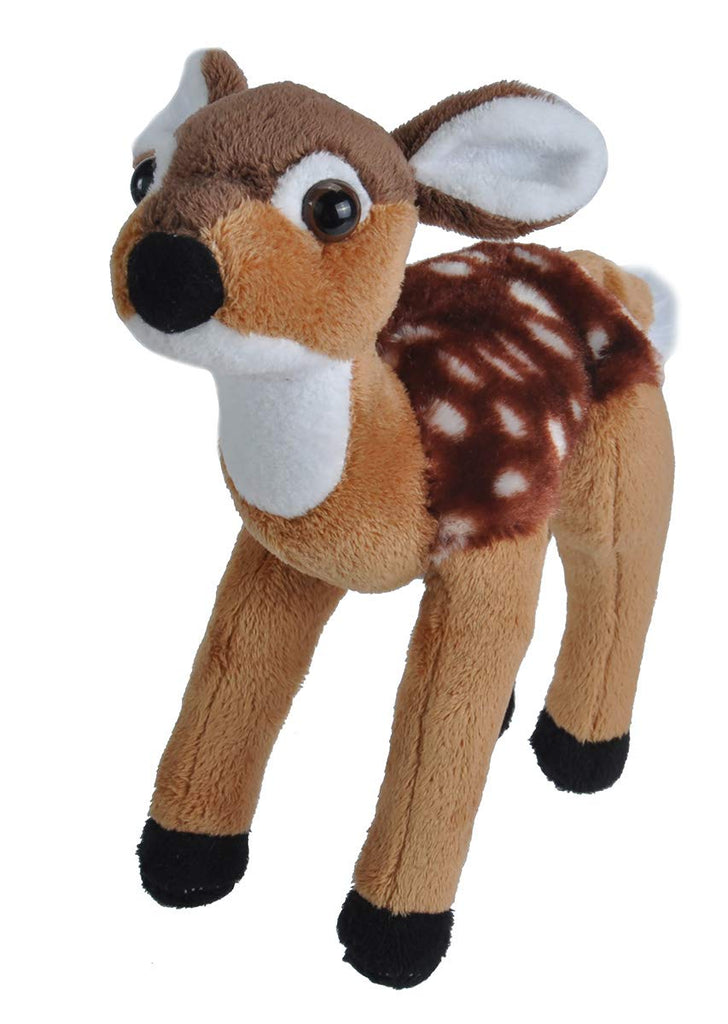 Fawn - CK