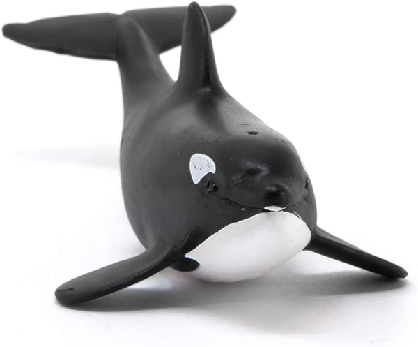 Baby Orca | The Wooden Horse