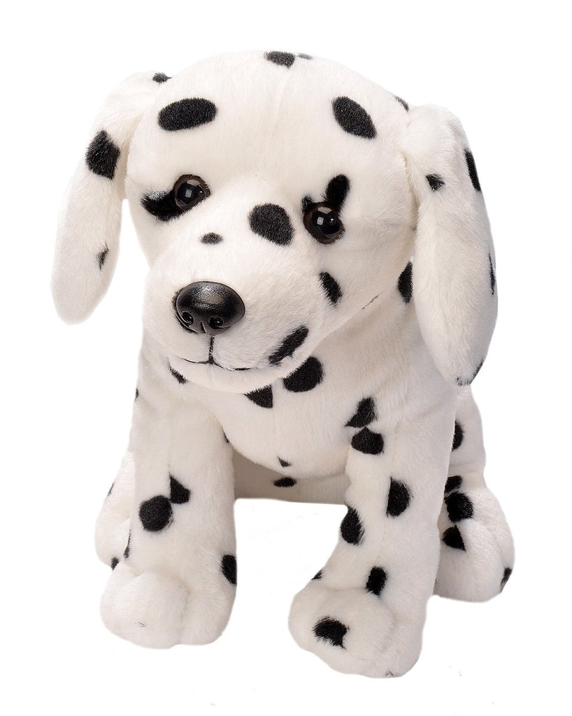 Mini Dalmation Puppy CK