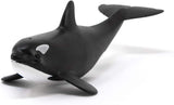 Baby Orca