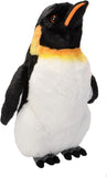 Emperor Penguin - CK