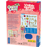 Ooze Labs: Visible Human Body with Squishable Orga