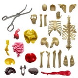 Ooze Labs: Visible Human Body with Squishable Orga