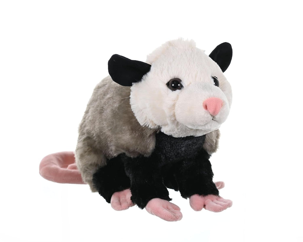 Opossum - CK