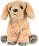 Jumbo Mom Puppies Golden Retriever - CK
