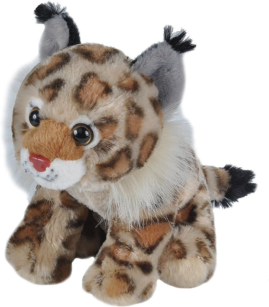 Bobcat - CK