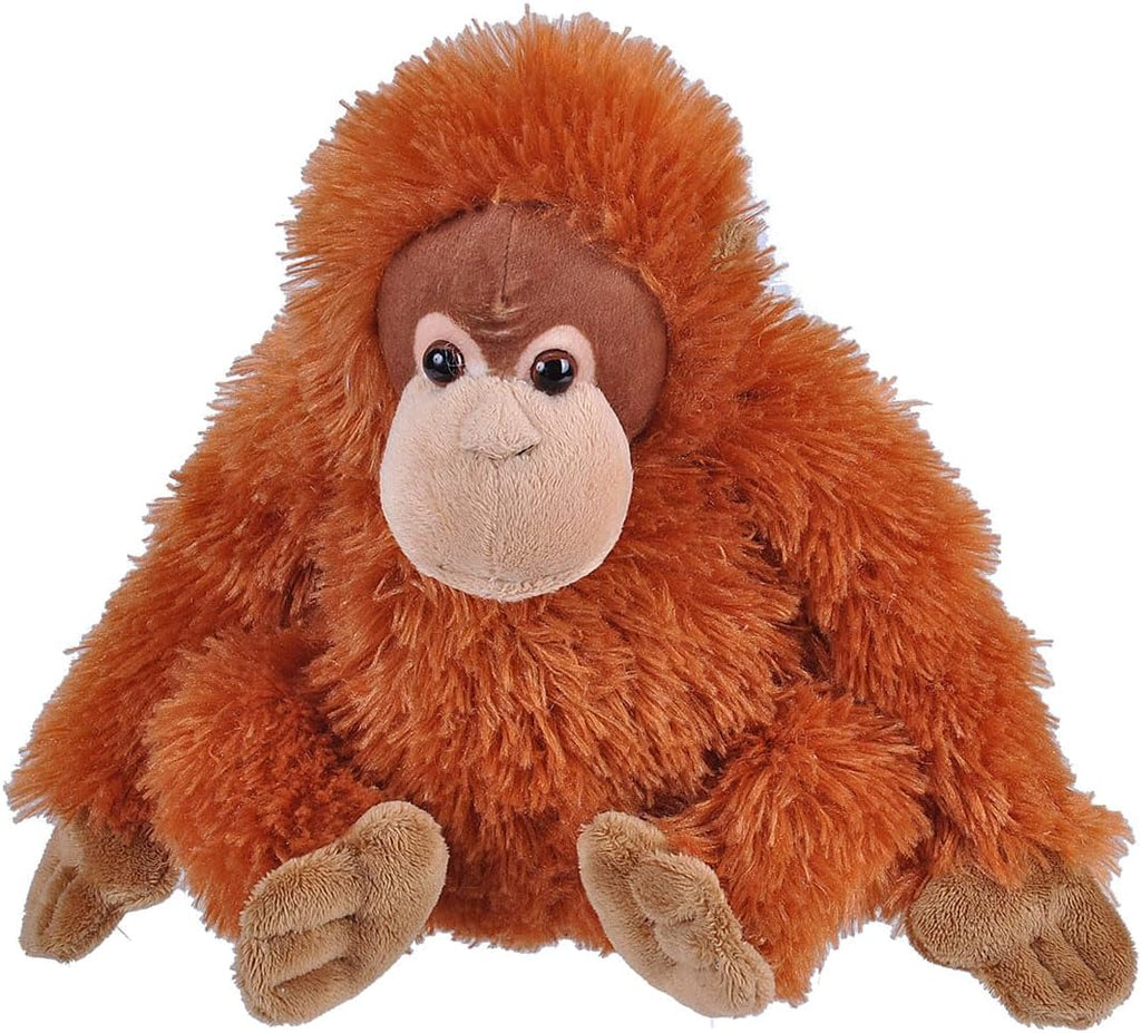 Orangutan Baby - CK