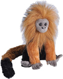 Golden Lion Tamarin - CK