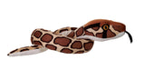 Snake-Coiled Green Burmese Python