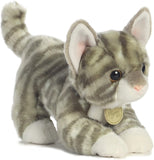 9" Grey Tabby Kittten