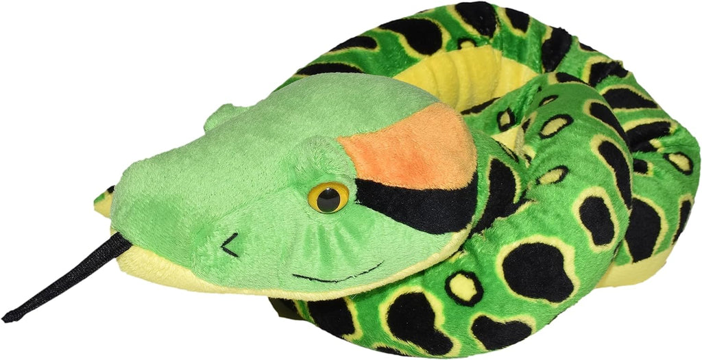 Anaconda Snake