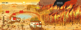 Look Inside Wild Weather