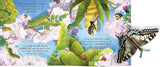 Pop-Up Butterflies