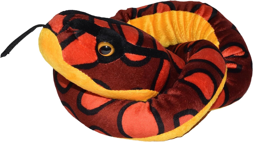 BOA RAINBOW SNAKE