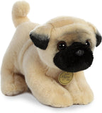 10" Pug Pup