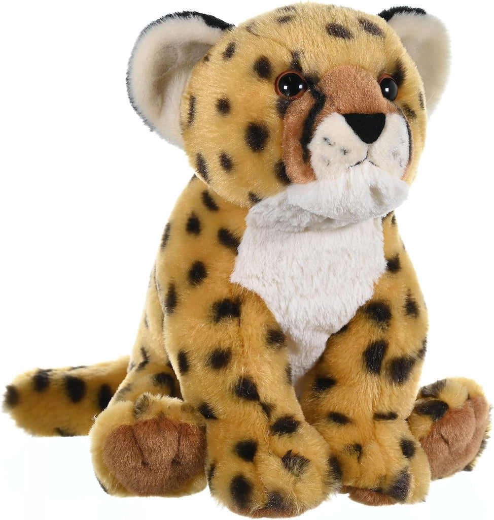Cheetah Cub - CK