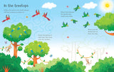 Wipe-Clean Jungle Activities
