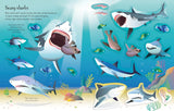 First Sticker Book Sharks and Rays