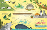 Lift-the-flap Questions and Answers about Animals