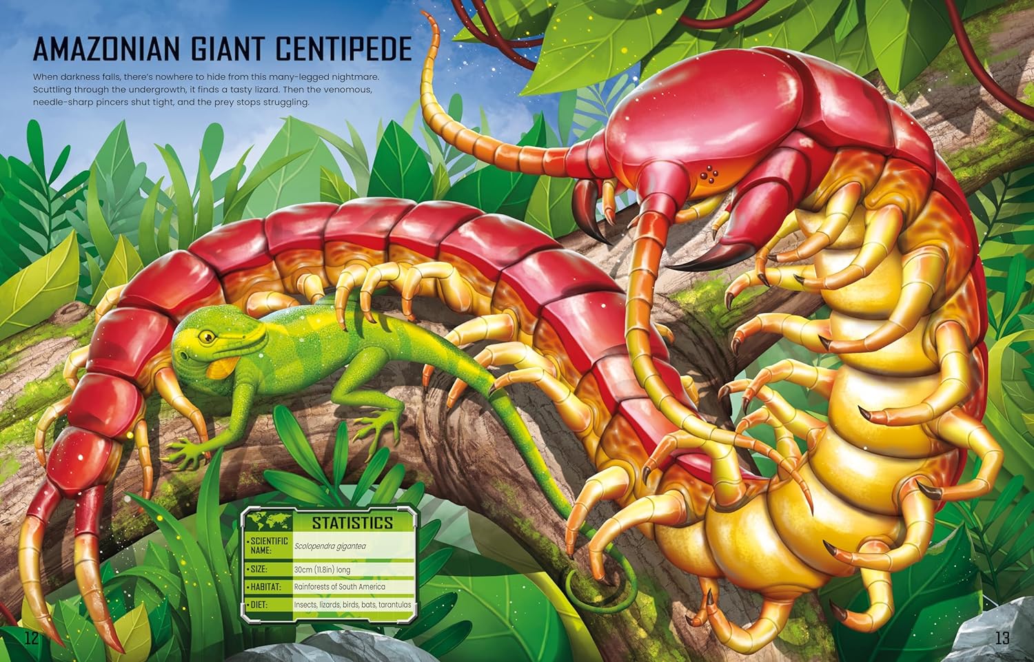 Bug Sticker Book Build Your own Giant Bug Sticker Book | The Wooden Horse