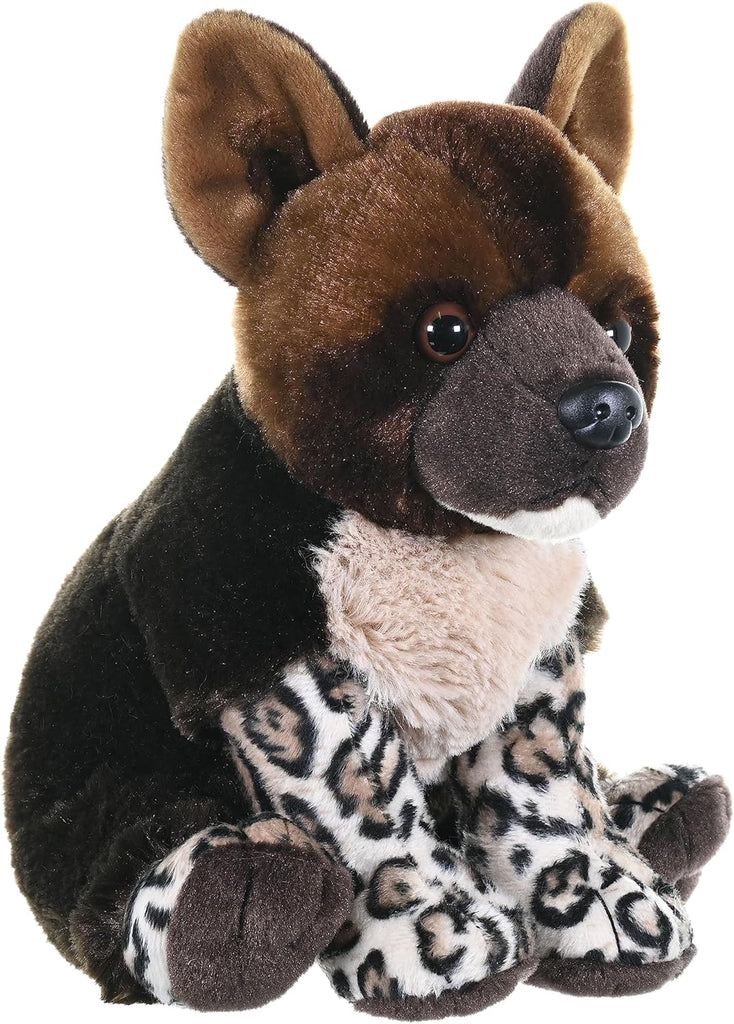 African Wild Dog Pup - CK