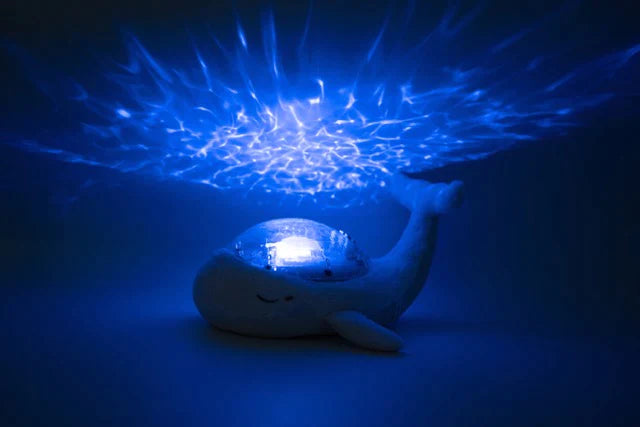 Blue Tranquil Whale