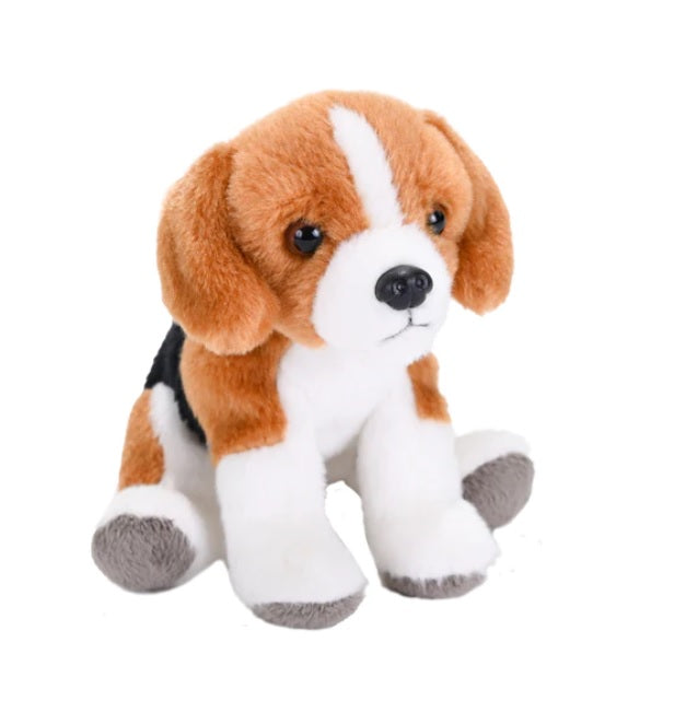 Beagle Dog Pocketkins-Eco