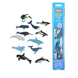 Whales & Dolphins Nature Tube