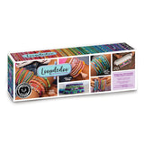 Spinning Loom Kit Loopdedoo