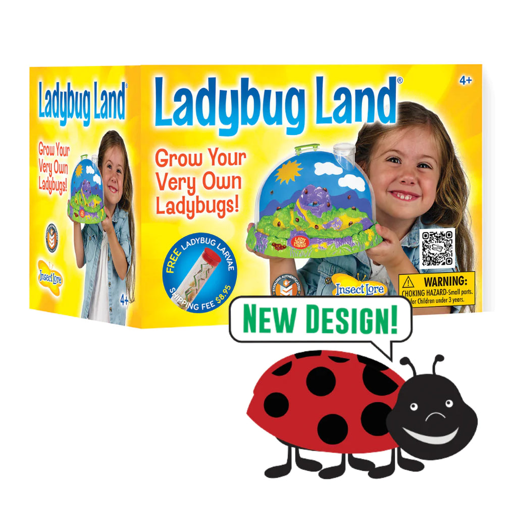 Lady Bug Land