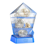 Break-Open Crystal Geodes Wow in the World