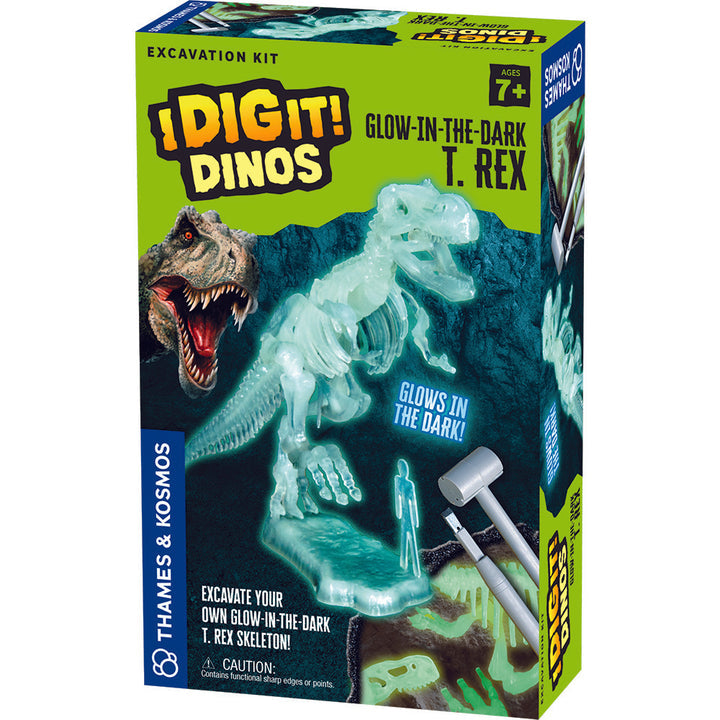 T Rex Glow in the dark- I dig it
