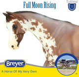 Full Moon Rising