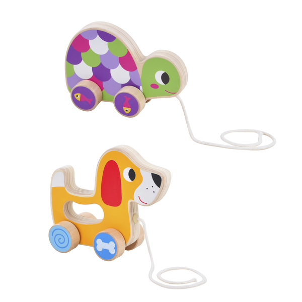 Wodden Turtle & Puppy Pull Toys